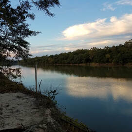 Monroe, Louisiana is located on the beautiful Ouachita River in Sportsman's Paradise northeast Louisiana 